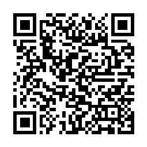 Programm als PDF